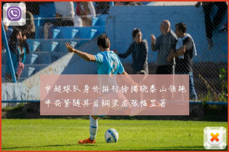 中超球队身价排行榜揭晓泰山领跑申花紧随其后铜梁龙涨幅显著